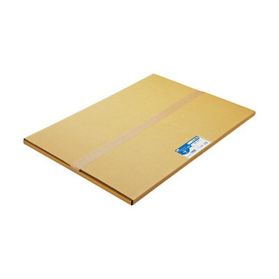 【楽天市場】大塚商会 TANOSEE 普通紙 A1カット 594×841mm 1箱 | 価格比較 - 商品価格ナビ